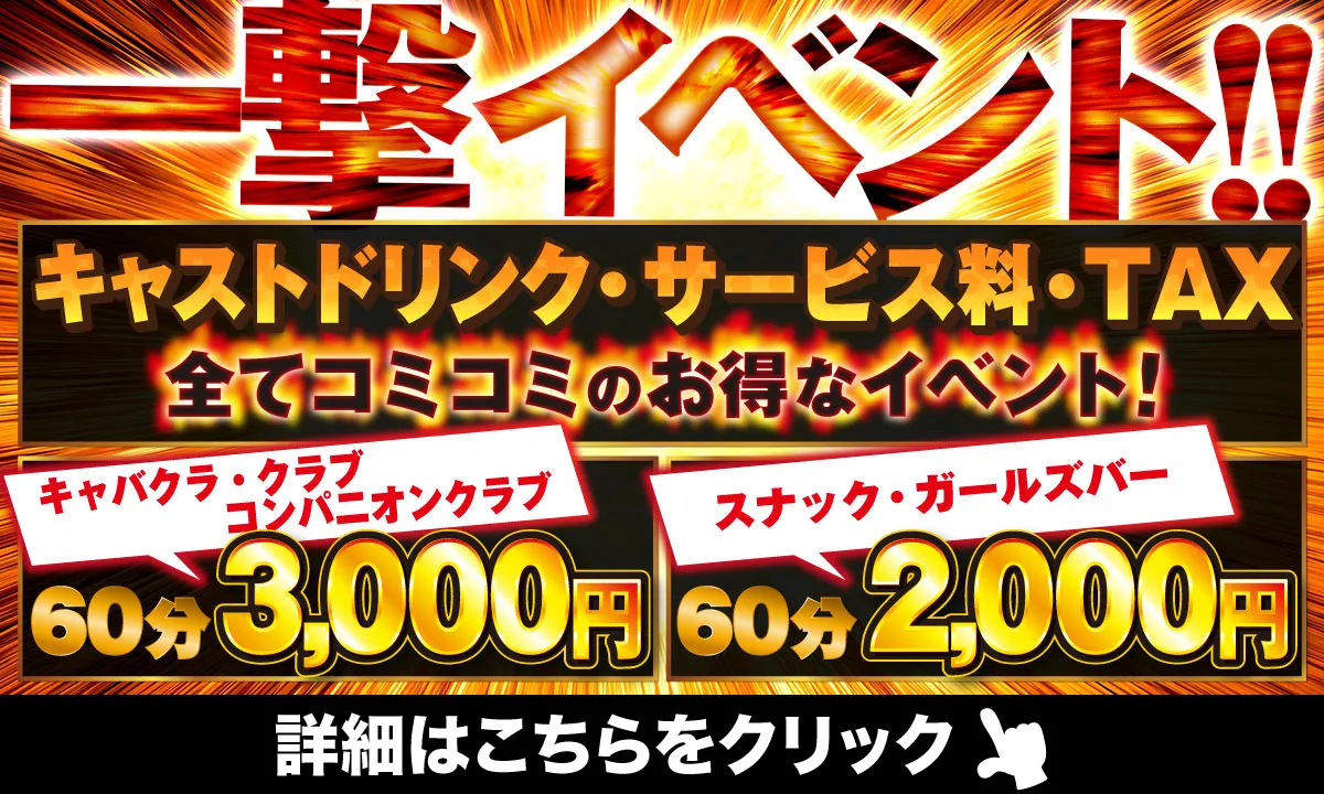 ナイト ナビ 新潟